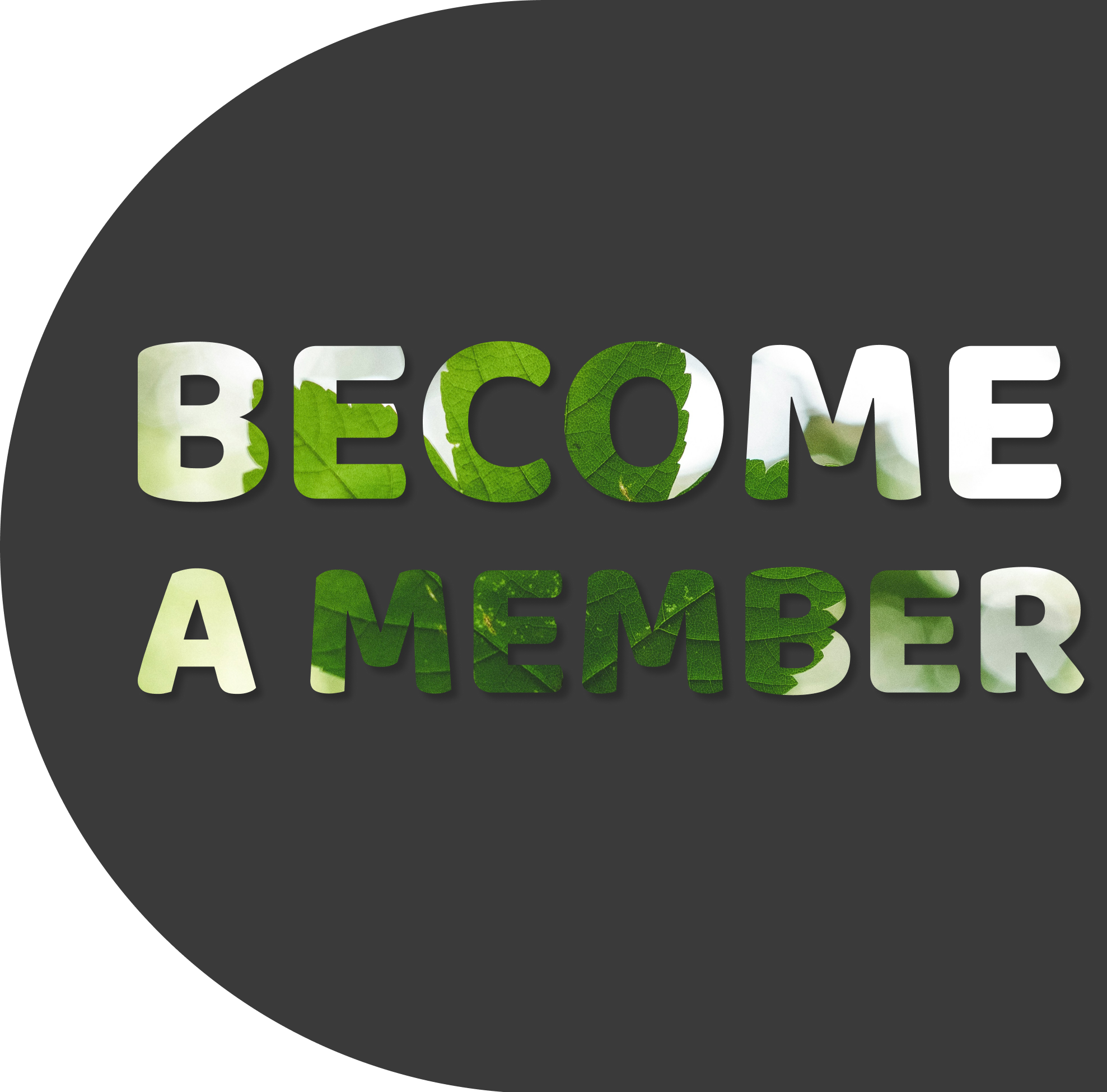 Become a Member